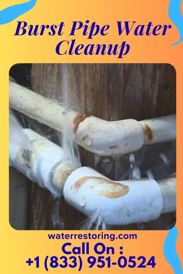 Burst Pipe Water Cleanup in Enon, OH