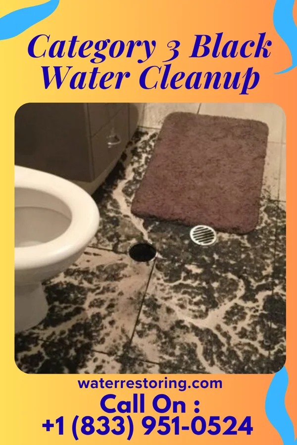 Category 3 Black Water Cleanup in Enon, OH