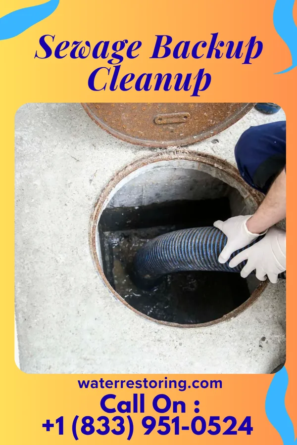 Sewage Backup Cleanup in Enon, OH