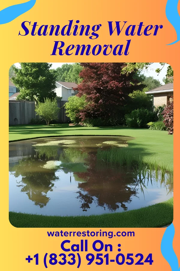 Standing Water Removal in Enon, OH